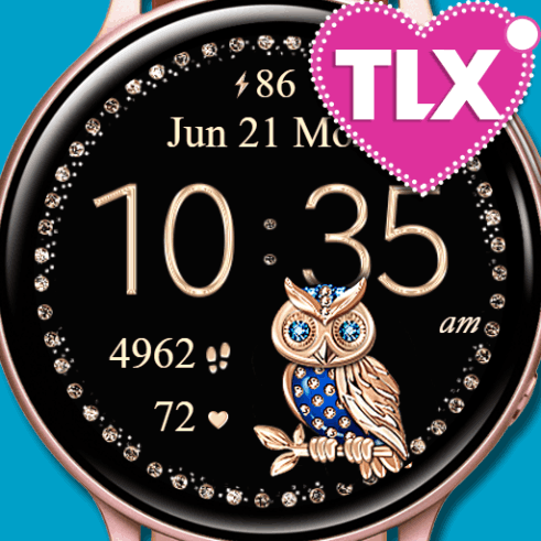 7 Owls Watch
