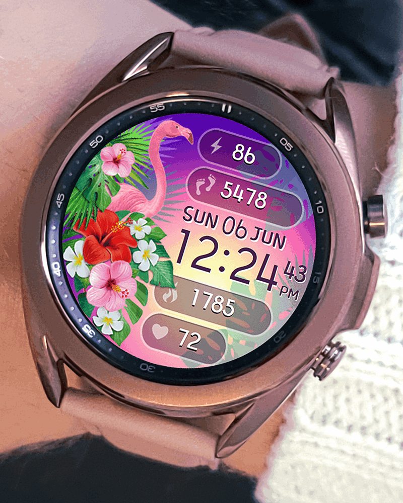 Flamingo Summer Watch Face